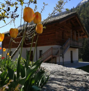 B&B Lorelei Gressoney-Saint-Jean